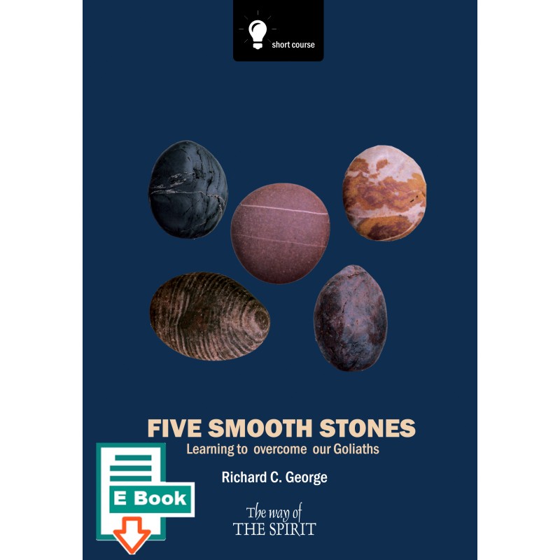 Five Smooth Stones E Book Featured Products