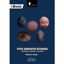 Five Smooth Stones eBook