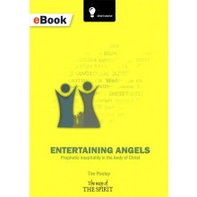 Entertaining Angels eBook