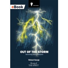 Out of The Storm eBook